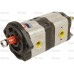 S.43958 Tandem Hydraulic Pump